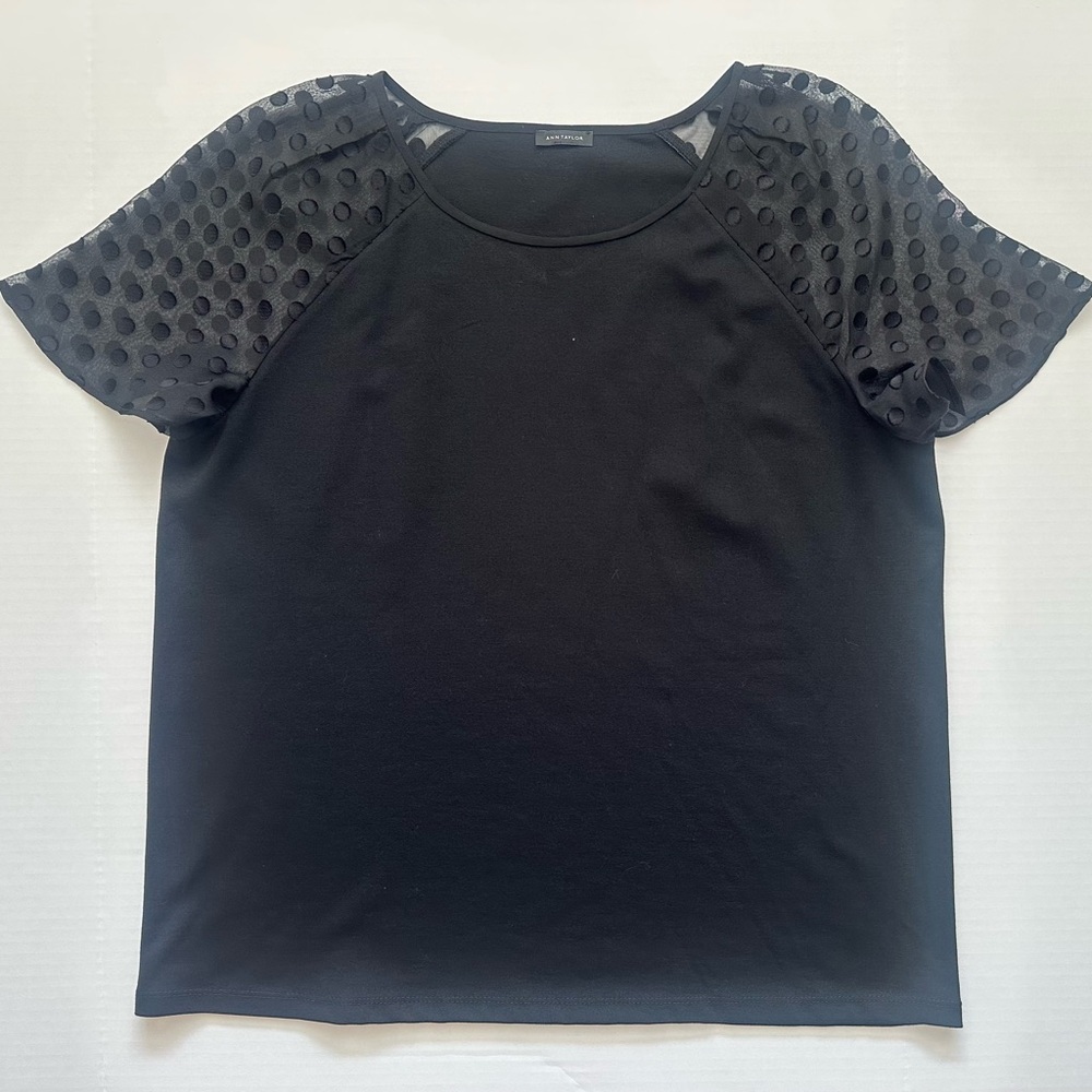 Ann Taylor Black Ponte Knit Short Sleeve Top with Sheer Flutter Sleeves